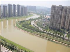靳江河南岸綠化工程 (省優工程)