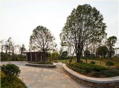 梅溪湖片區桃花嶺山體公園項目 (省優工程)