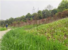 衡陽市常寧水口山鉛鋅煤礦區山水林田湖草生態保護修復試點工程