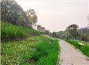 衡陽市常寧水口山鉛鋅煤礦區山水林田湖草生態保護修復試點工程