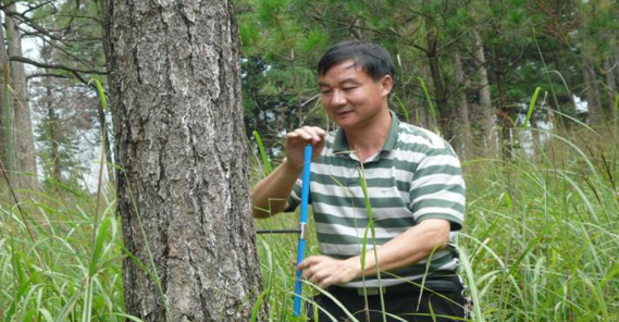 中南林業科技大學研究員，碩士生導師