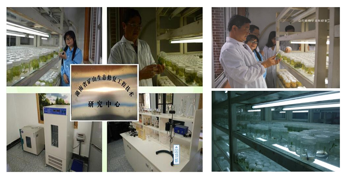 湖南省礦山生態修復技術研究中心