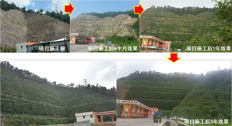 珠海市斗門區山體邊坡生態修復
