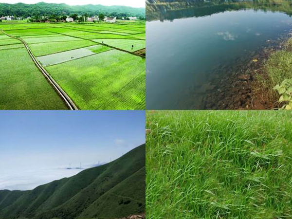 山水林田湖草生態修復