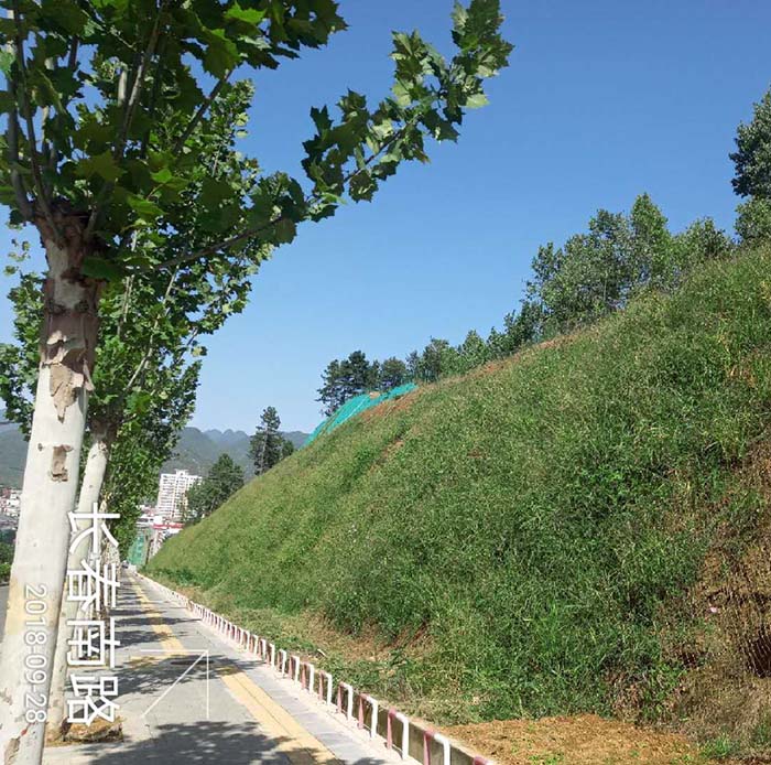 河南省洛陽市欒川縣老君山景區山體修復