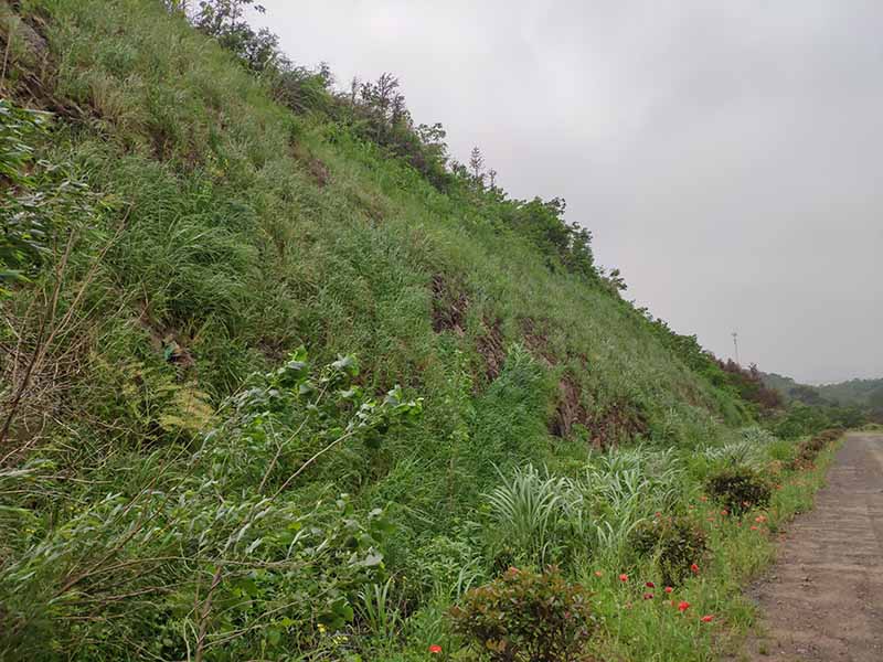 江西彭澤縣馬當鎮子磯頭廢棄礦山生態環境恢復治理工程項目