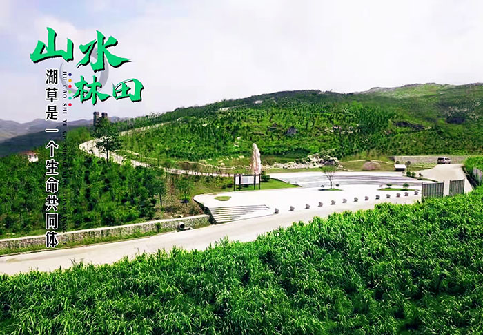 湖南省婁底市冷水江銻煤礦區山水林田湖草生態保護修復項目