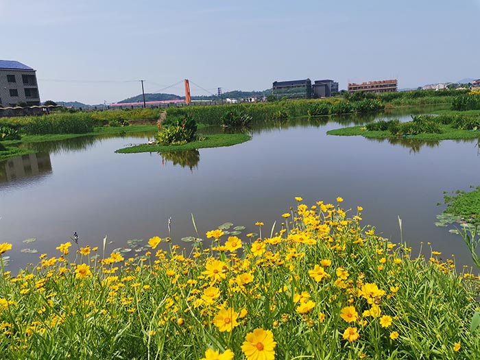 衡陽縣蒸水流域山水林田湖草生態保護修復工程試點項目