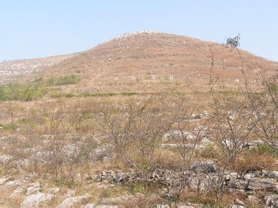 益陽市泥江口石子塘礦山生態修復——國家油茶林示范基地