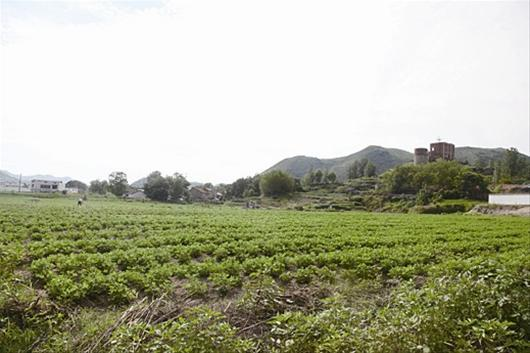 中央財政重金屬污染防治重點區域示范資金項目——2號尾礦庫生態恢復工程項目