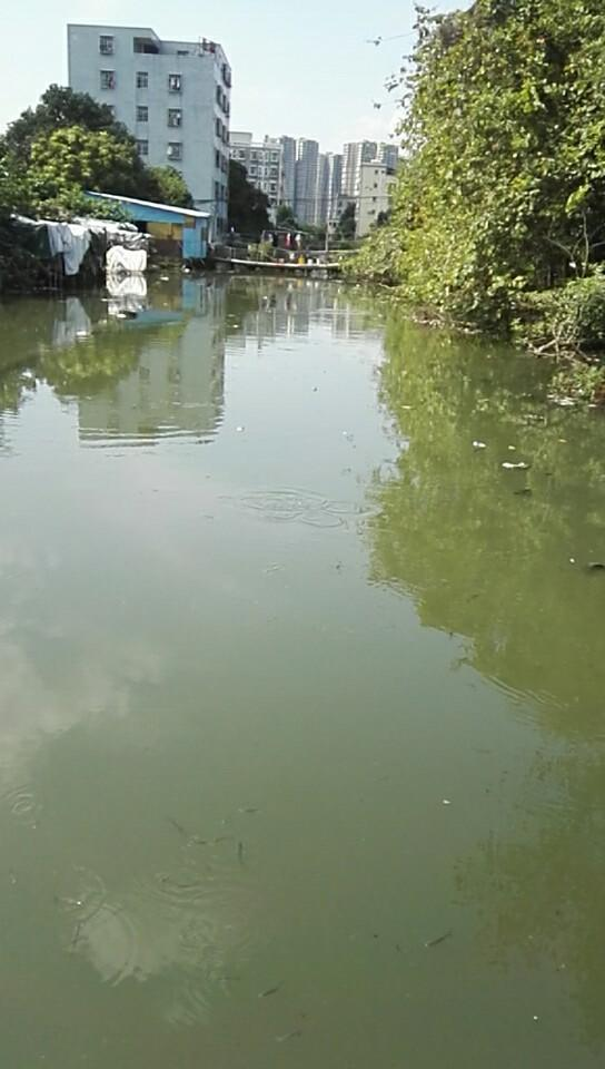 珠海市南屏西渠污水生態治理