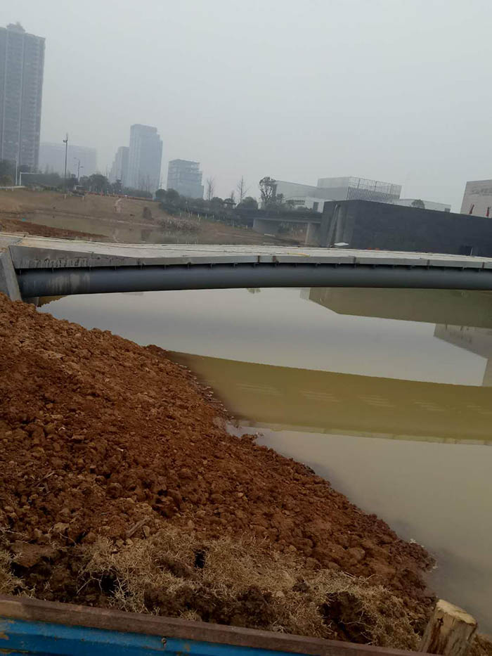 洋湖濕地生態修復與保育工程