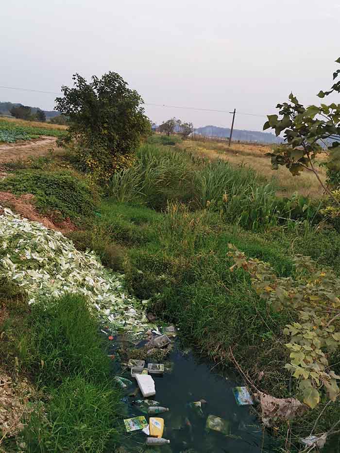衡陽縣蒸水流域山水林田湖草生態保護修復工程試點項目